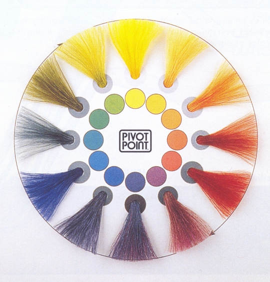 Kleurwiel & kaart (kleurenspecialist)